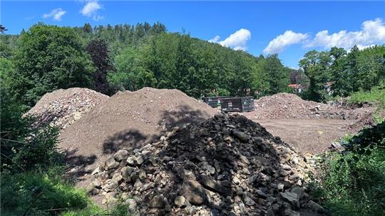 Seit einigen Tagen sind auf dem Gelände des ehemaligen Hotels Harzburger Hof Bagger am Werk. Sie beseitigen die letzten Überbleibsel des ehemaligen Grandhotels.