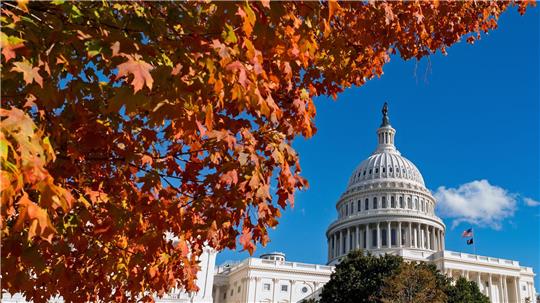 Zweiter Shutdown-Monat in den USA Seit mehr als einem Monat dauert der Shutdown in den USA an.