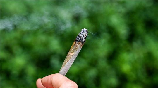 Seit rund zwei Jahren ist Cannabis in Deutschland teilweise legal. 