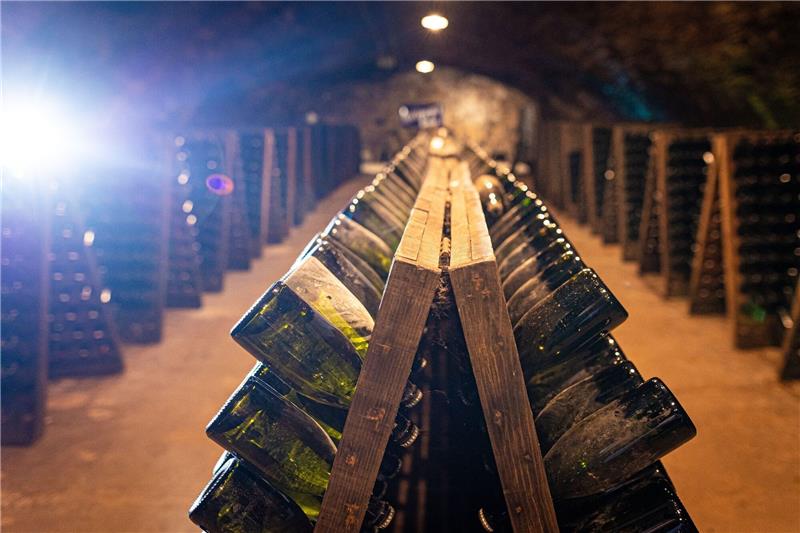 Hoch das Glas! Hochbetrieb bei Sekthersteller vor Silvester Sektflaschen lagern in einem Gewölbekeller unter Schloss Landestrost in der Region Hannover.