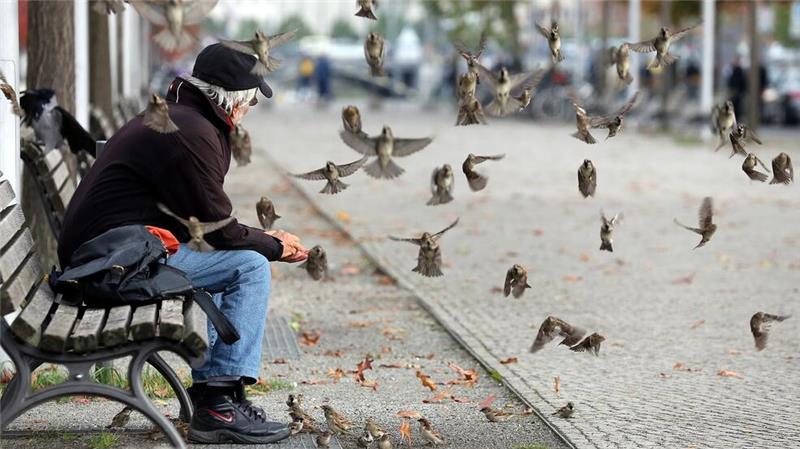 Auch Spatzen granteln im Alter Senioren-Spatzen sind wie viele ältere Menschen mit zunehmendem Alter weniger geneigt, neue Freunde zu finden. (Archivbild)