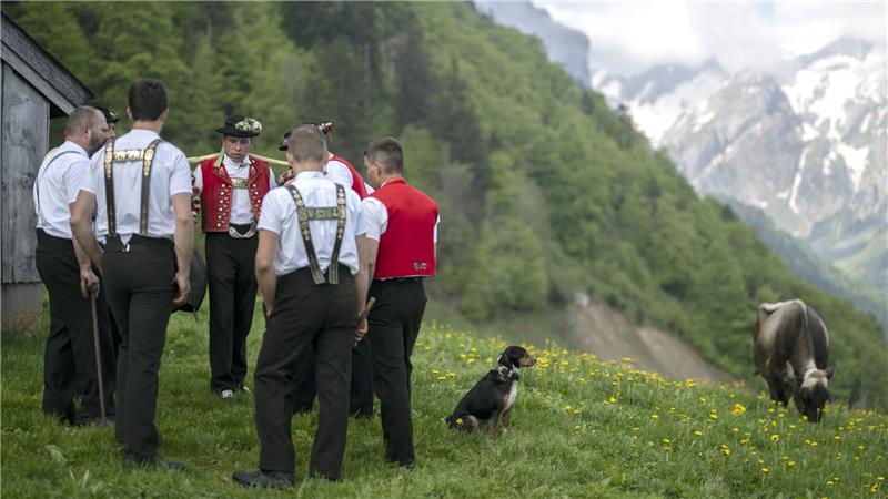 „Wie vorgezogene Weihnachten“: Schweizer Jodel ist Welterbe Sennen jodeln beim Alpaufzug. (Illustration)