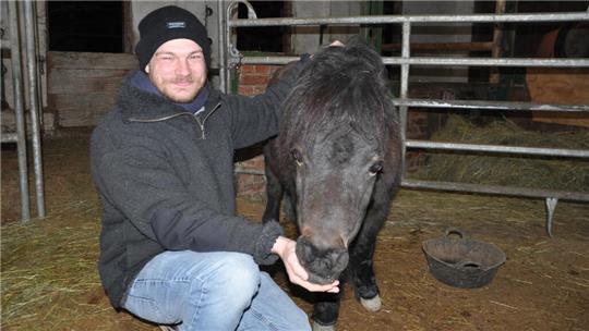 Ein Mann kniet in einem Stall und füttert ein kleines Pony mit der Hand