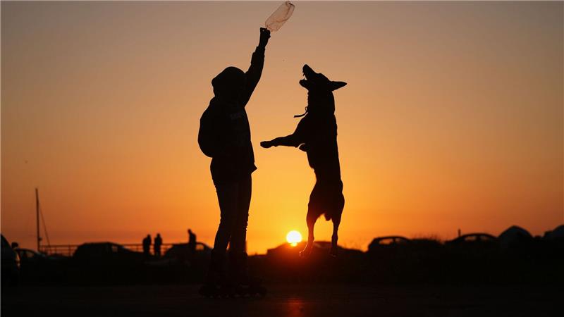 Sidra Mohamad Saadeh, 13, die durch israelische Luftangriffe in Dahija, den südlichen Vororten Beiruts, vertrieben wurde, spielt bei Sonnenuntergang mit einem Hund namens Rocky auf einem öffentlichen Platz an der Beiruter Uferpromenade.