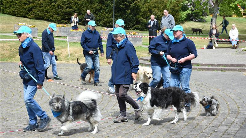 Hahnenklee: Mensch und Tier sind ein Team bis in den Tod Sie bieten was für Auge und Herz: Die Mitglieder der privaten Quadrille-Gruppe „Teamwork Mensch & Hund im Einklang“ zeigen, wie gut sich Zwei- und Vierbeiner aufeinander einstellen können. Jede Rasse kann eine Choreo lernen.