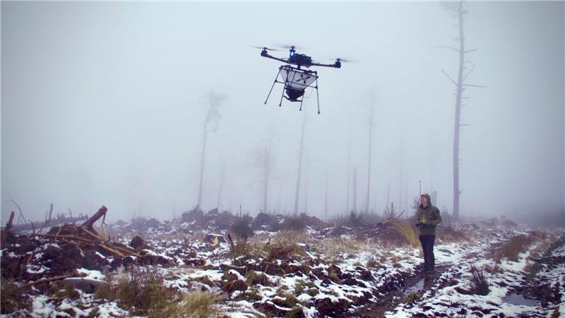 Eine Drohne fliegt in einem abgestorbenen Wald.