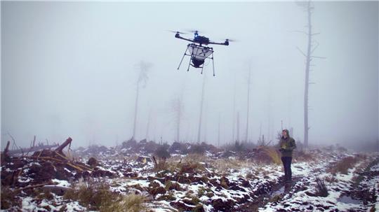 Eine Drohne fliegt in einem abgestorbenen Wald.