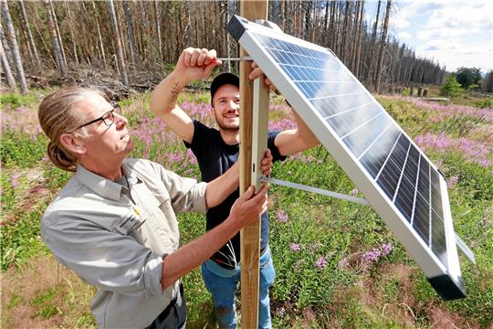 Sie sollen Waldbrände frühzeitig erkennen und melden: Haris Sefo (re.) von der Firma „Breeze Technologies“ und Nationalpark-Förster Jens Geffert montieren am Brocken einen von neun Waldbrandsensoren im Nationalpark.  Foto: Bein