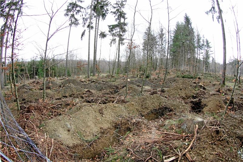 Sieht schlimm aus, ist aber normal: Das sind bereits ausgehobene Gräber, gerade im Winter, wenn Frost im Boden droht, gibt es davon im Abschiedswald (rechts der Eingang) immer einige mehr, um Tiere zeitnah bestattet zu können.  Fotos: Schlegel