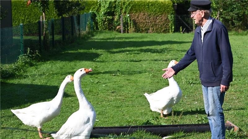 Smidt hatte nach eigenen Angaben jahrelang Gänse auf seinem Grundstück in Marienhafe gehalten. (Archivbild)