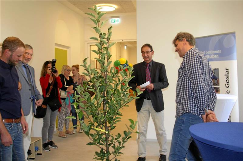 So lasst uns denn ein Apfelbäumchen pflanzen: Zur offiziellen Einweihung bekamen die Kiga-Leiter Thomas Schatt (Lollipop, ganz rechts) und Tassilo Werner (Eichenberg, ganz links) von Lebenshilfe-Geschäftsführer Clemens Ahrens (2. v. re.) und Bürgermeister Ralf Abrahms (2. v. li.) ein nachwachsendes Präsent.  Fotos: Breuer