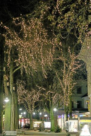 So sah der „Sternenhimmel“ mal im Jahr 2011 aus. Mittlerweile sind die Lichterketten aus den Kronen entfernt und um die Stämme gewickelt worden. 