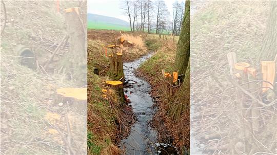 So sah es 2021 nach dem Kahlschlag eines Landwirts am Kiefbach aus. Der Mann muss 20.000 Euro zahlen, für den Landkreis ein Rekordbußgeld. Derzeit wird gegen einen weiteren Beschuldigten ermittelt. Archivfoto: Biener