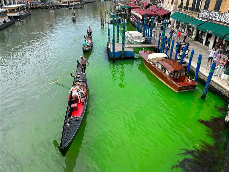 Grüner Canal Grande in Venedig: Grund wohl klar So sieht der Canal Grande von Venedig normalerweise nicht aus.