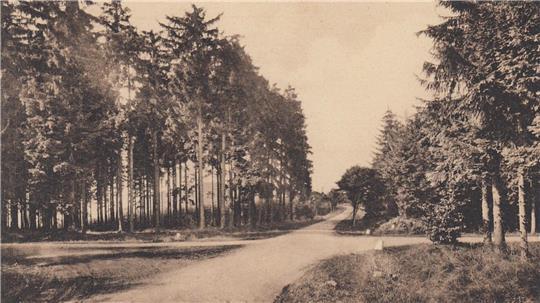Das Foto zeigt das heutige Drei-Länder-Eck am Jägerfleck bei Hohegeiß in den 1930-er Jahren.