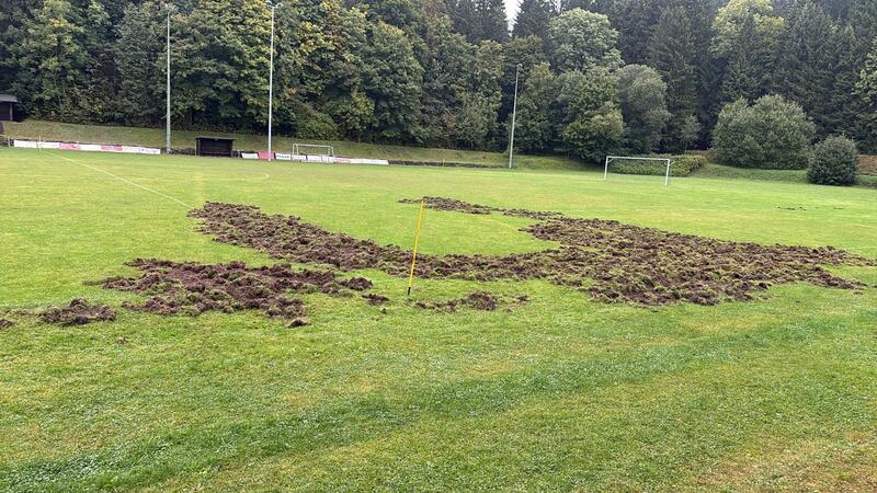 Schon wieder Wildschweine: Fußballplatz im Oberharz verwüstet So sieht der Sportplatz an der Ringerhalde aus, nachdem er Anfang der Woche von einer Wildschweinrotte heimgesucht wird.