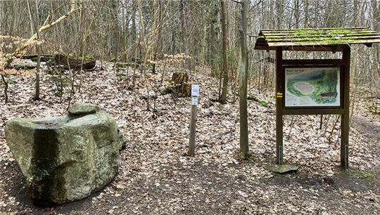 So sieht die Wasserstation auf demn Waldlehrpfad aktuell aus. Sie soll den Wald aus Quelle für die Stadt begreifbar machen.