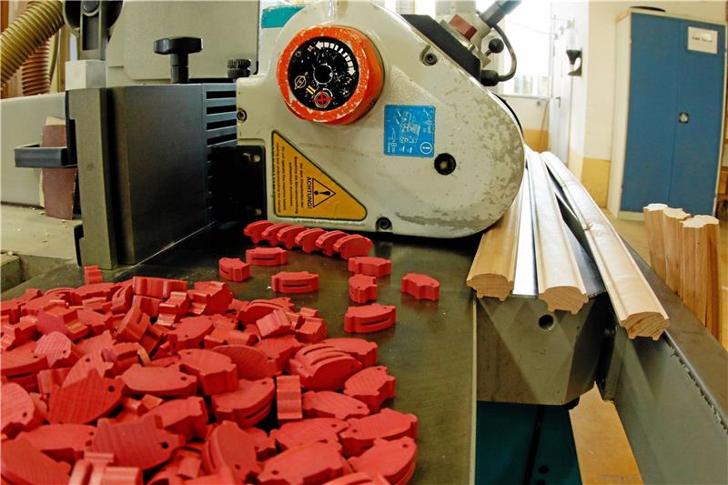 So sieht es aus, wenn Glücksschweinchen geboren werden: Ein Blick in die GZ-Ferkelaufzuchtstation in der Werkstatt der Goslarer Lebenshilfe.  Foto: Epping