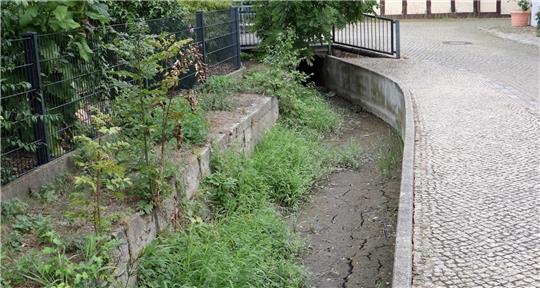 So weit soll es nicht kommen: Das Foto zeigt die Wedde in Schladen, die im August 2020 austrocknete. Um so etwas allgemein an Flüssen und Bächen zu vermeiden, darf ab sofort kein Wasser mehr mittels Pumpen oder anderer technischer Hilfsmittel entnommen werden. Archivfoto: Gereke
