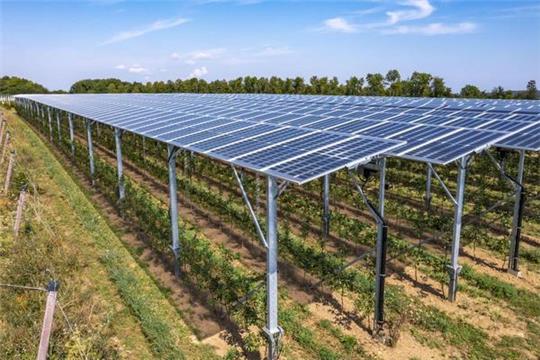 Solarkraft und Landwirtschaft: Agri-Photovoltaik-Anlage über einer Apfelplantage. Foto: Jochen Track/dpa