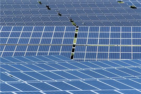 Solarmodule stehen in der Sonne.