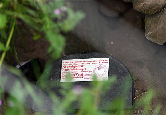 Solche Köder-Fallen helfen bei der Rattenbekämpfung.