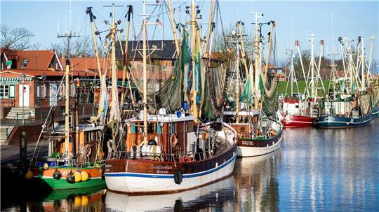 Solche traditionellen Krabbenkutter könnten bald in den Nordseehäfen weniger werden: In Ostfriesland arbeiten Wissenschaftler an einem „Zukunftskutter“. (Archivbild)