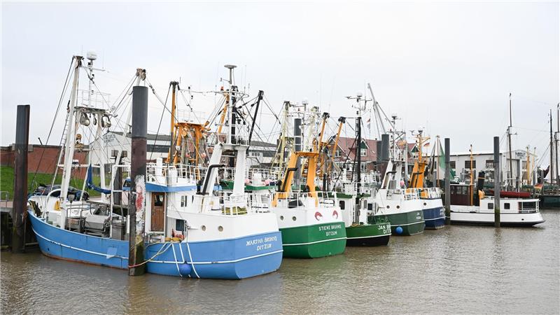 Solche traditionellen Kutter könnten bald weniger an der Küste zu sehen sein. 