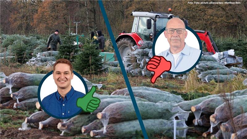 Zu sehen sind gefällte Tannen und ein Traktor.