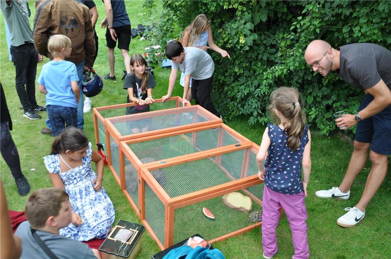 Sommerfest Goldene Aue