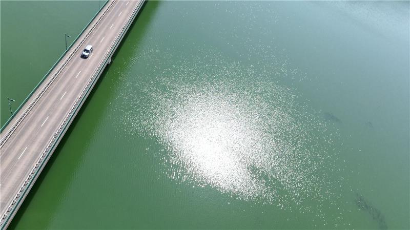 Bilder des Tages Sonne spiegelt sich im Wasser