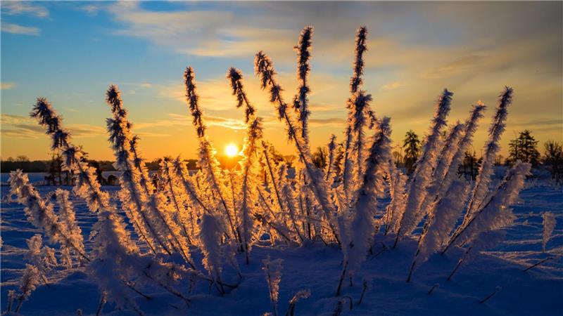 Sonne und kalte Luft erwarten die Meteorologen zum Wochenbeginn. (Archivbild)