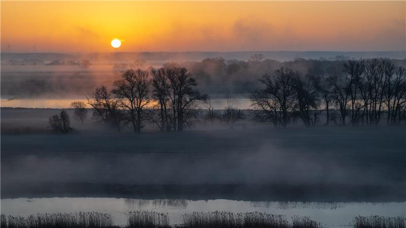 Sonnenaufgang im Nebel: Stimmungsvolle Morgenstimmung an der Oder