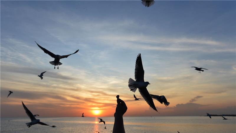 Sonnige Reiseziele sind laut Dertour besonders gefragt. (Archivbild)