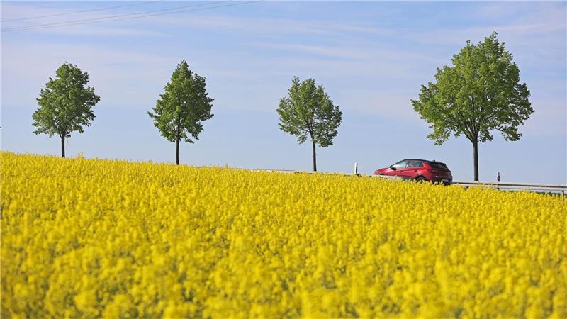 April warm, sonnig und trocken in Niedersachsen und Bremen Sonniges und trockenes Wetter prägt den April in Niedersachsen und Bremen.