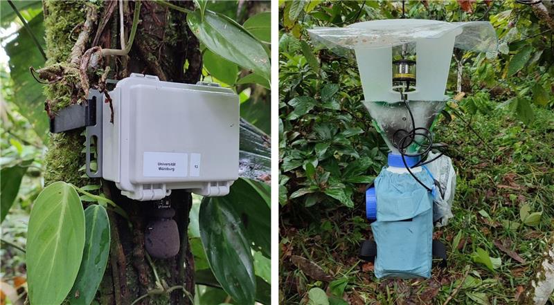 Soundrekorder (l) und automatische Lichtfalle zur Erfassung von Tierstimmen und Nachtinsekten.