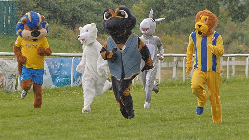Fünf Personen in Tierkostümen rennen auf einer Wiese, darunter ein Frosch, zwei Löwen, ein Hase und ein Eisbär.