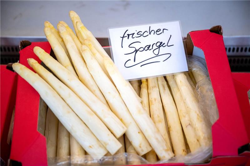 Spargel von einem beheizten Feld wird zum Verkauf angeboten.