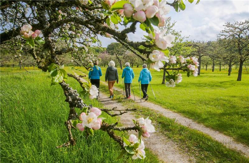 Temperaturen bis 29 Grad erwartet Spaziergängerinnen bei Bernloch auf der Schwäbischen Alb.