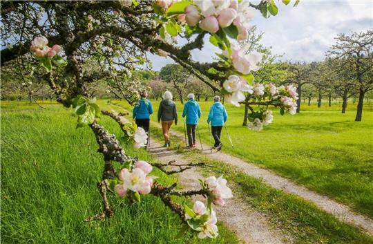 Spaziergängerinnen bei Bernloch auf der Schwäbischen Alb.