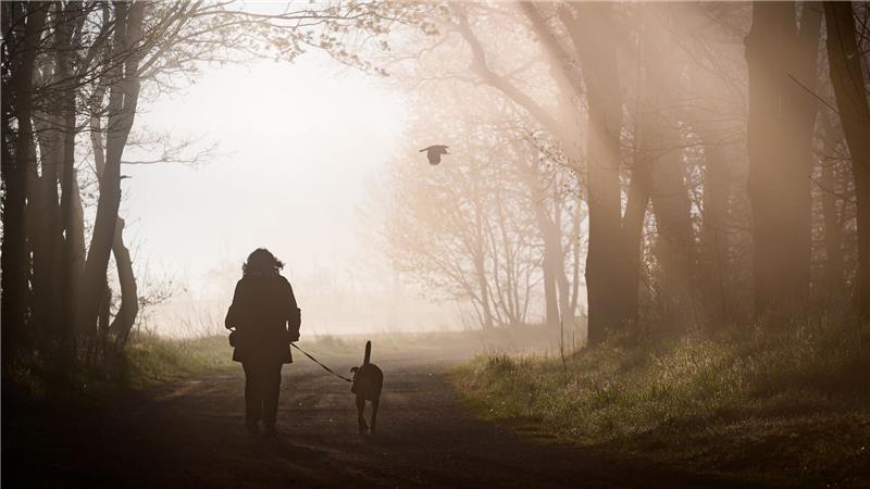 Spaziergang in einen herrlichen Morgen.