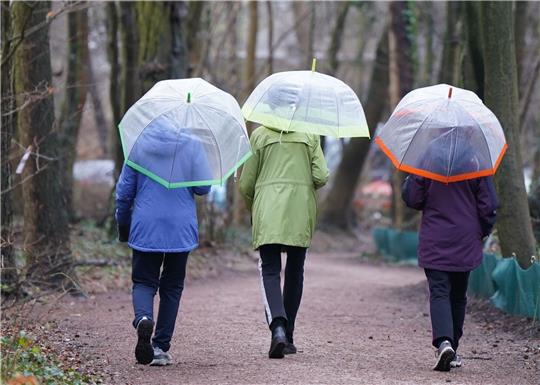 Spaziergang mit Regenschirmen in Hamburg.