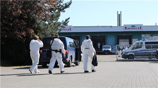 Spezialeinsatzkräfte durchsuchen im Mai 2023 die Halle einer ehemaligen Wurstwarenfabrik in Posthof, sichern Spuren und nehmen sechs Männer fest. 4500 Pflanzen einer Hanf-Plantage werden beschlagnahmt.  Archivfoto: Neuendorf