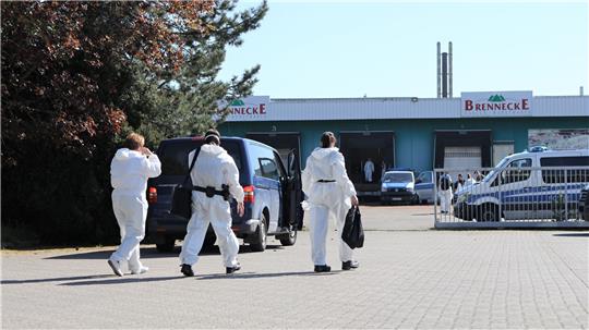 Spezialermittler durchsuchten die Cannabis-Plantage in Posthof. Foto: GZ-Archiv