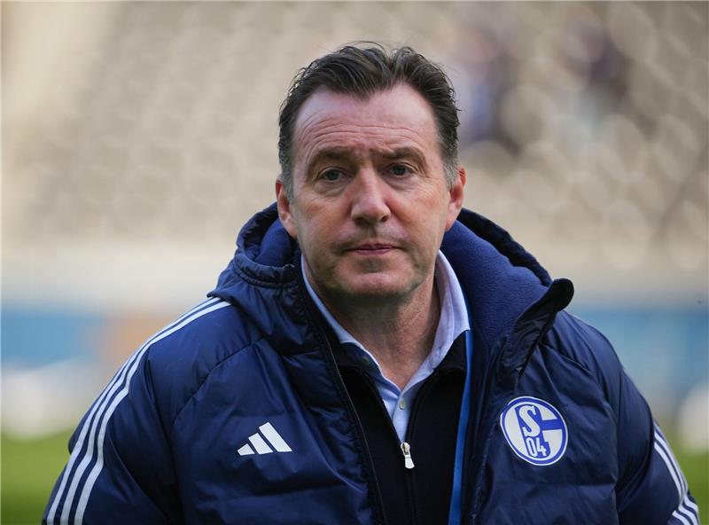 Der FC Schalke und die Angst vor dem endgültigen Absturz Sportdirektor Marc Wilmots schwört S04 auf die entscheidende Saisonphase ein. Es geht um nichts weniger als die Existenz des Clubs.