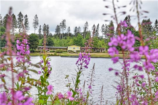 Stadtwerke und Tourist-Informationen laden zum gemeinsamen See- und Sommerfest auf dem Gelände des Waldseebads ein. Foto: Neumann