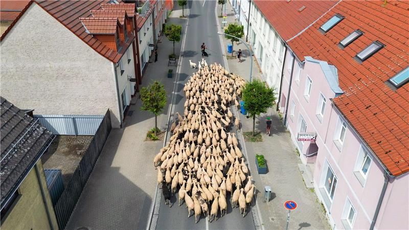 Start ins Hirtenjahr