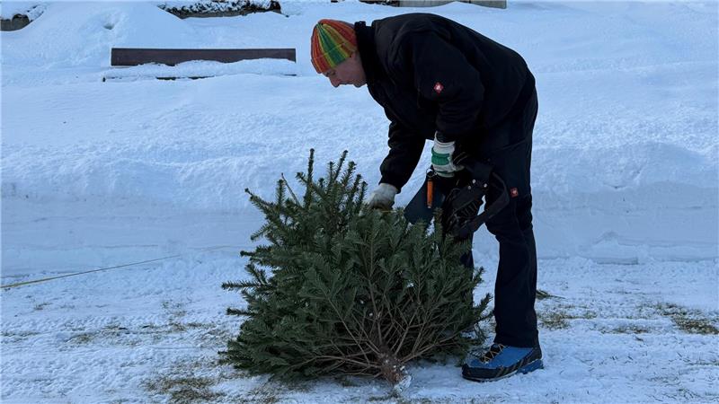 Ein Mann steht vor einer Fichte.