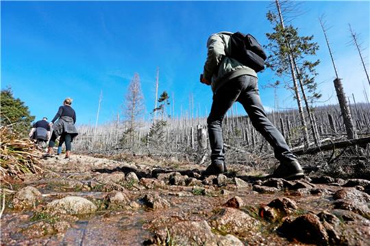 Steiler Anstieg zum Brocken: Der Harz ist als Wanderregion beliebt, aber es gibt neben der Natur weitere Attraktionen. Foto: Bein