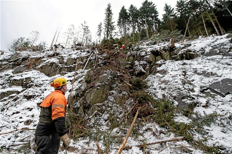 Steilhang an der B 498 nahe der Okertalsperre: Die Beseitigung von Waldschäden nach dem Sturmtief „Sabine“ ist noch in vollem Gange.  Foto: dpa